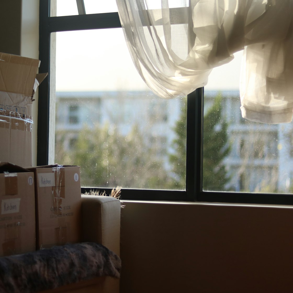 Household room packed room-by-room with labelled moving boxes